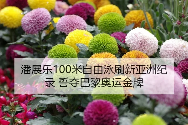 潘展乐100米自由泳刷新亚洲纪录 誓夺巴黎奥运金牌